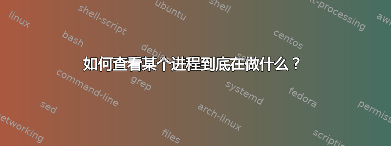 如何查看某个进程到底在做什么？