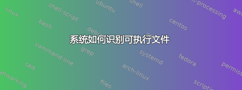 系统如何识别可执行文件