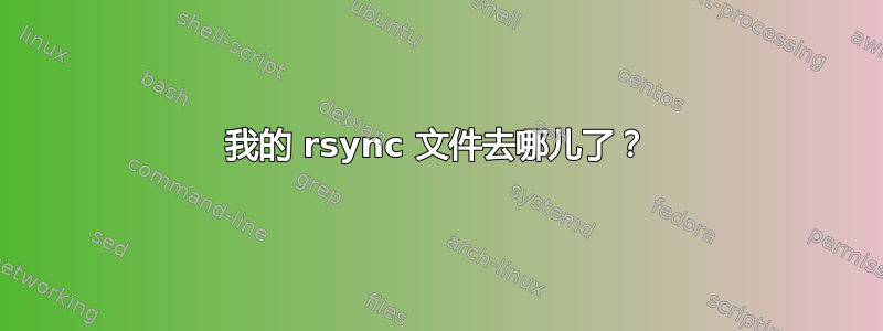 我的 rsync 文件去哪儿了？