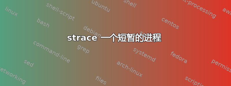 strace 一个短暂的进程