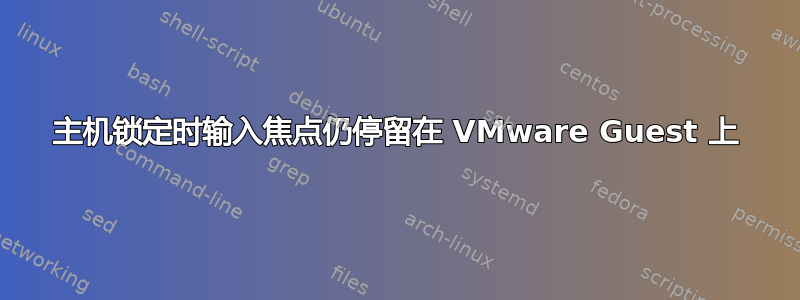 主机锁定时输入焦点仍停留在 VMware Guest 上