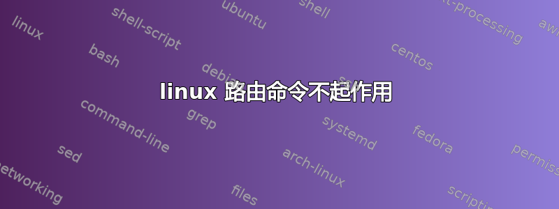 linux 路由命令不起作用