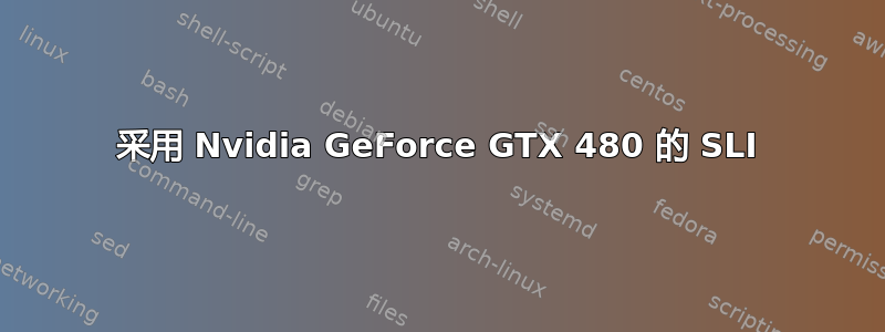 采用 Nvidia GeForce GTX 480 的 SLI