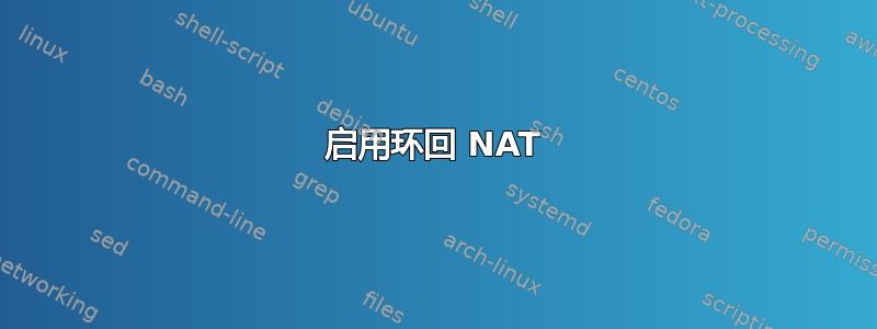 启用环回 NAT