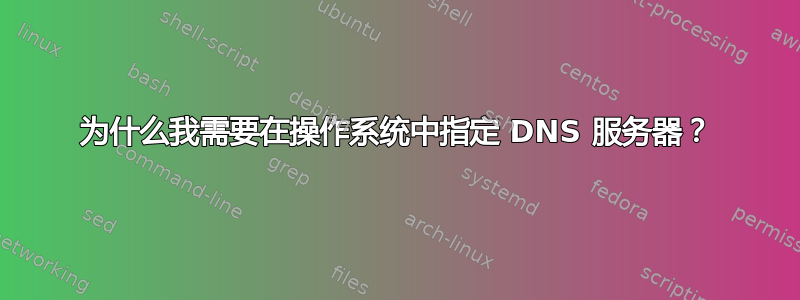 为什么我需要在操作系统中指定 DNS 服务器？