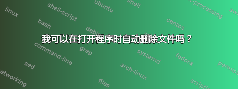 我可以在打开程序时自动删除文件吗？