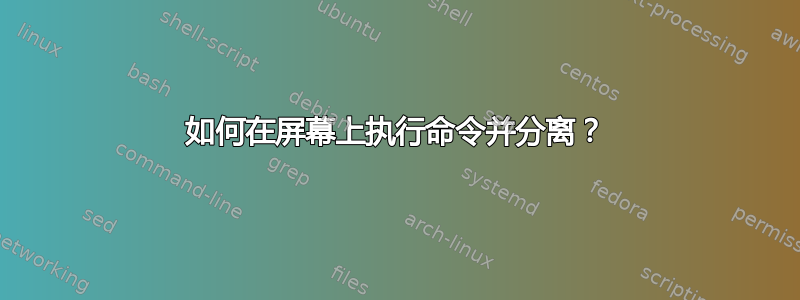 如何在屏幕上执行命令并分离？