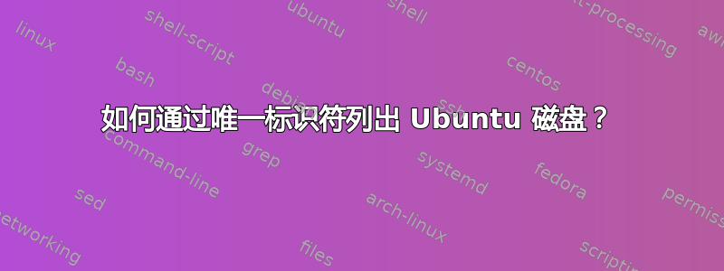 如何通过唯一标识符列出 Ubuntu 磁盘？