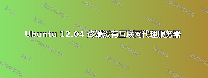 Ubuntu 12.04 终端没有互联网代理服务器