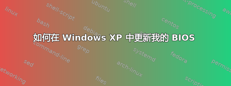 如何在 Windows XP 中更新我的 BIOS