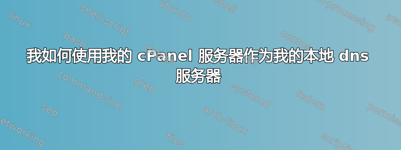 我如何使用我的 cPanel 服务器作为我的本地 dns 服务器