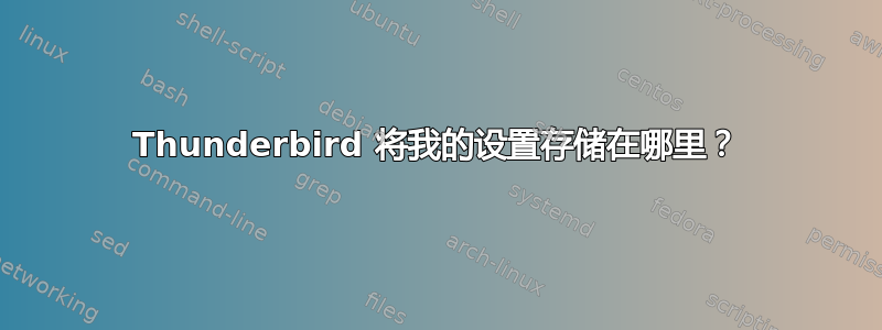 Thunderbird 将我的设置存储在哪里？