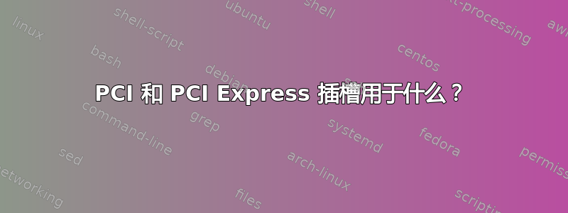 PCI 和 PCI Express 插槽用于什么？