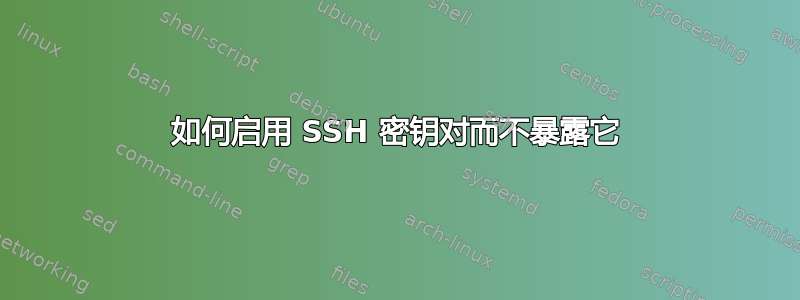 如何启用 SSH 密钥对而不暴露它