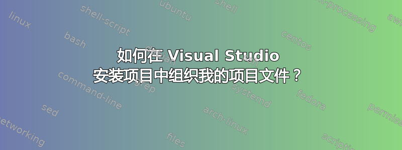 如何在 Visual Studio 安装项目中组织我的项目文件？