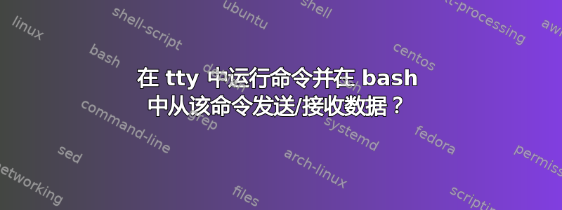 在 tty 中运行命令并在 bash 中从该命令发送/接收数据？