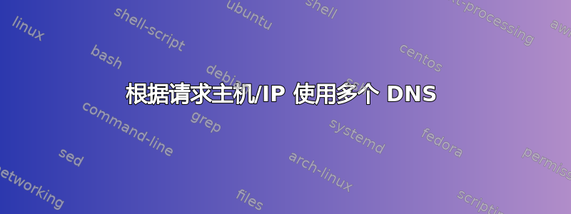 根据请求主机/IP 使用多个 DNS