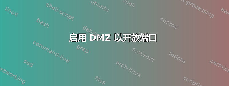 启用 DMZ 以开放端口