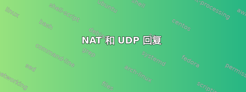 NAT 和 UDP 回复