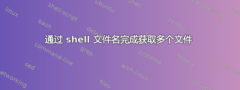 通过 shell 文件名完成获取多个文件