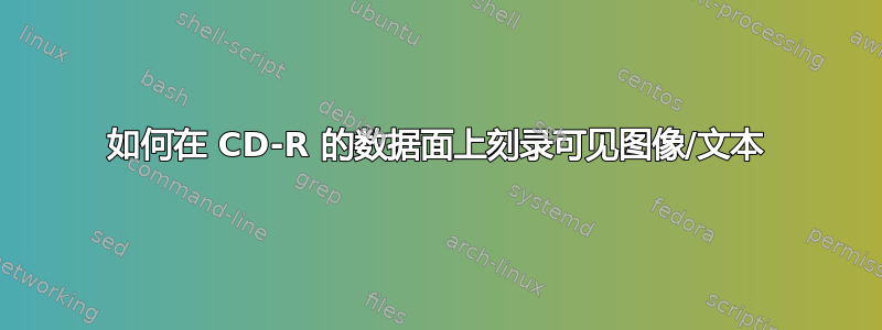 如何在 CD-R 的数据面上刻录可见图像/文本