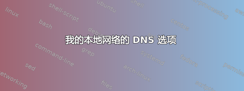 我的本地网络的 DNS 选项