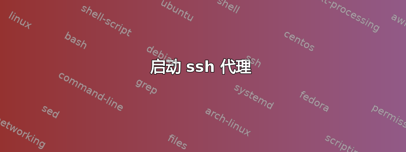 启动 ssh 代理