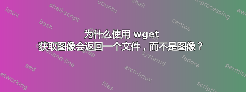 为什么使用 wget 获取图像会返回一个文件，而不是图像？