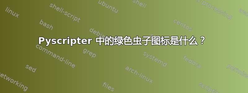 Pyscripter 中的绿色虫子图标是什么？