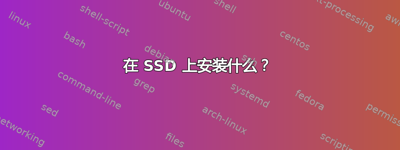 在 SSD 上安装什么？