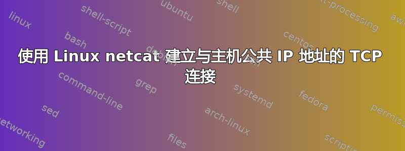 使用 Linux netcat 建立与主机公共 IP 地址的 TCP 连接