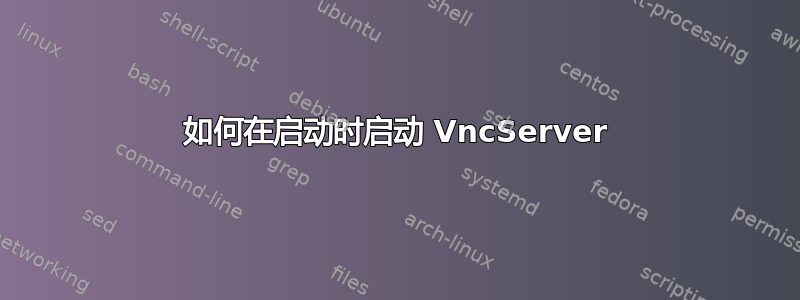 如何在启动时启动 VncServer