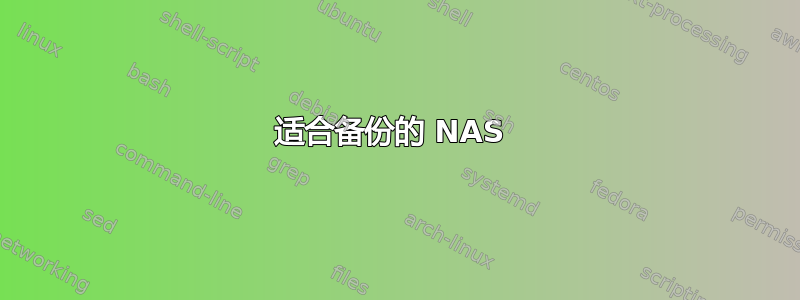 适合备份的 NAS 