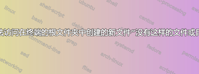 我无法访问在终端的根文件夹中创建的新文件“没有这样的文件或目录”