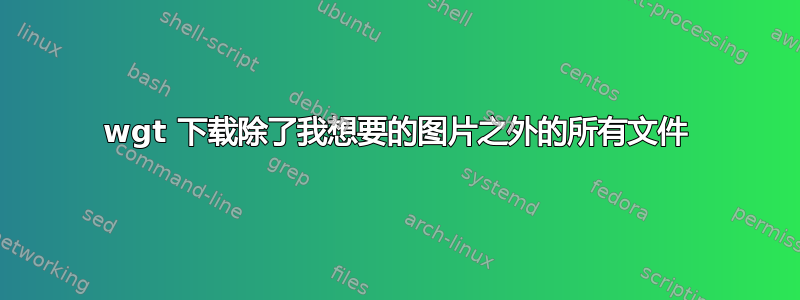 wgt 下载除了我想要的图片之外的所有文件