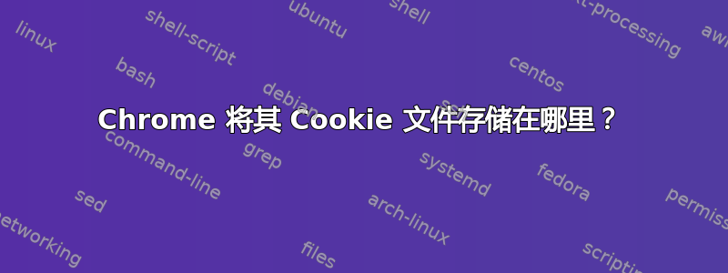 Chrome 将其 Cookie 文件存储在哪里？