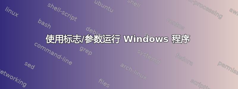 使用标志/参数运行 Windows 程序