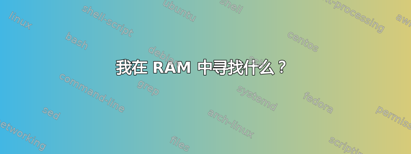 我在 RAM 中寻找什么？