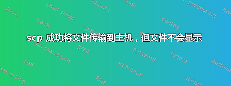 scp 成功将文件传输到主机，但文件不会显示