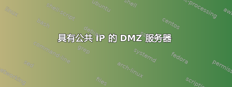 具有公共 IP 的 DMZ 服务器