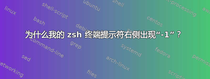 为什么我的 zsh 终端提示符右侧出现“-1”？