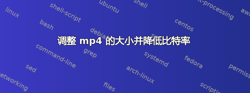 调整 mp4 的大小并降低比特率