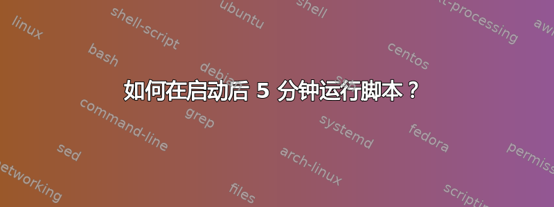 如何在启动后 5 分钟运行脚本？