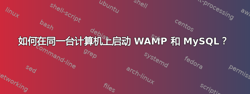 如何在同一台计算机上启动 WAMP 和 MySQL？