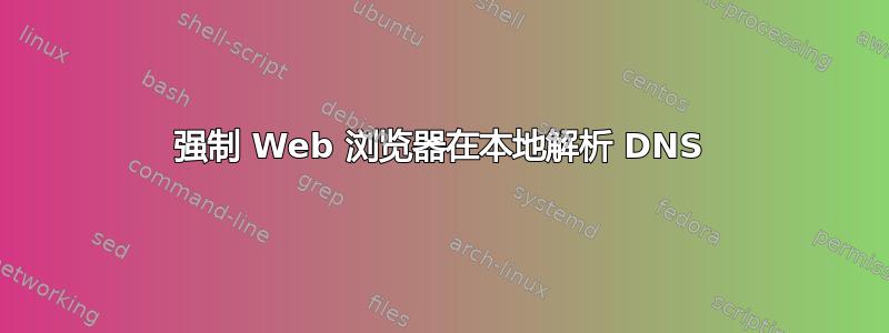 强制 Web 浏览器在本地解析 DNS