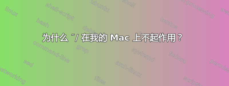 为什么 ˜/ 在我的 Mac 上不起作用？