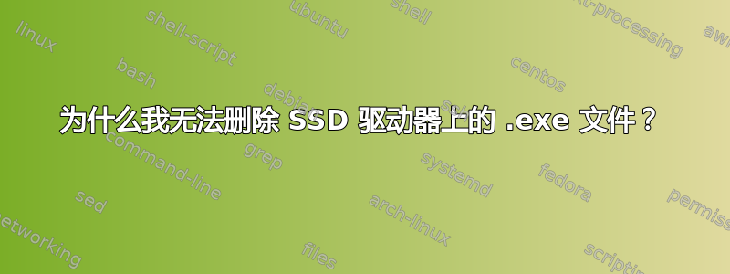 为什么我无法删除 SSD 驱动器上的 .exe 文件？