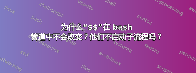 为什么“$$”在 bash 管道中不会改变？他们不启动子流程吗？