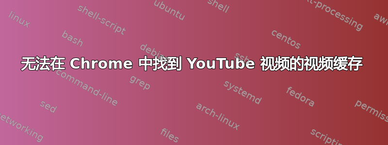 无法在 Chrome 中找到 YouTube 视频的视频缓存