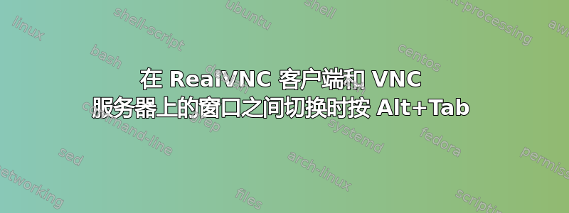 在 RealVNC 客户端和 VNC 服务器上的窗口之间切换时按 Alt+Tab